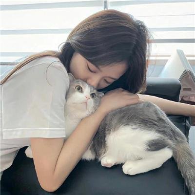追夫四人行